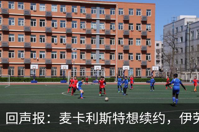 回声报：麦卡利斯特想续约，伊劳拉称赞他顶级且全面